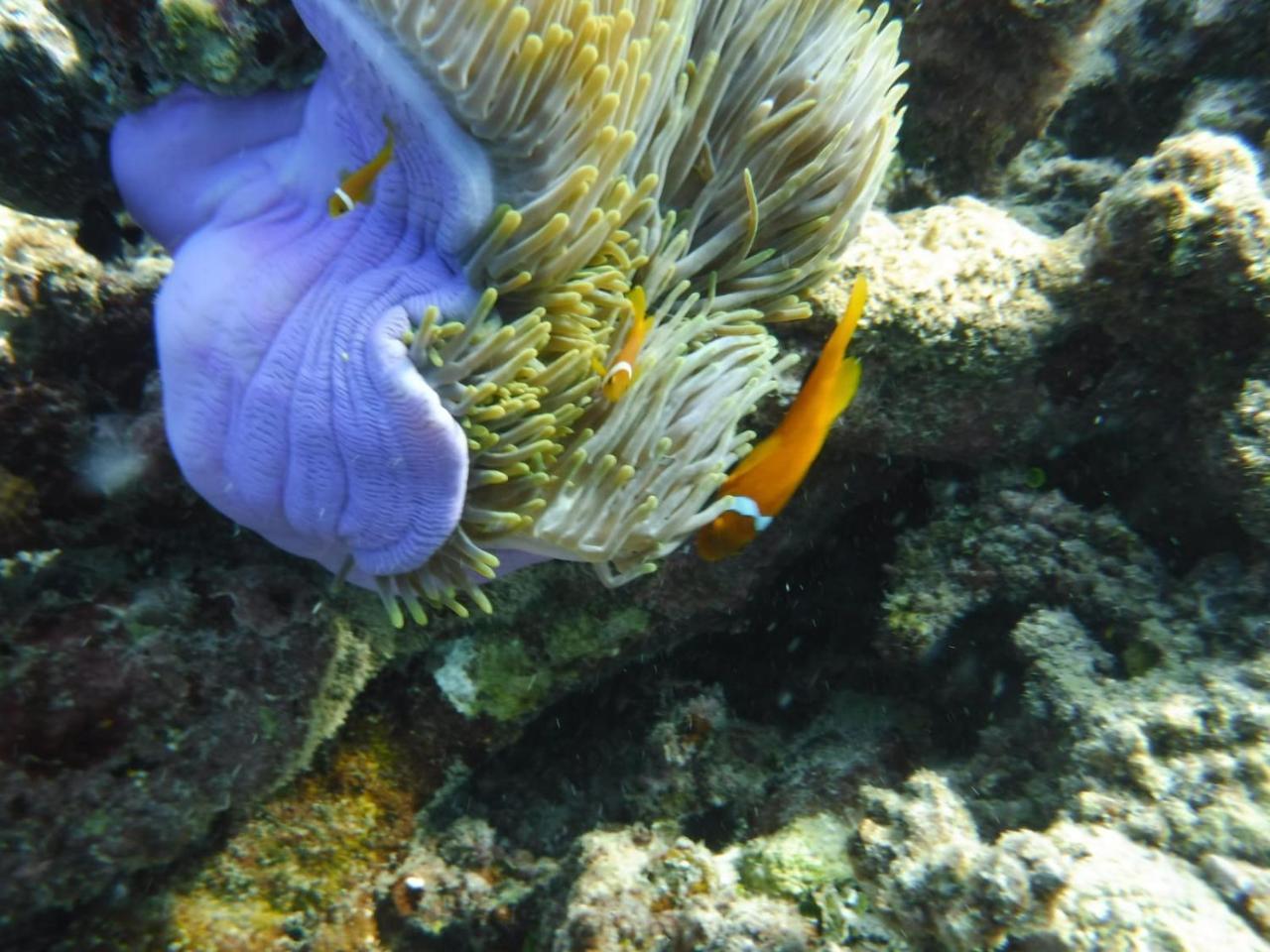 Sancia Lodge Fulidhoo Luaran gambar